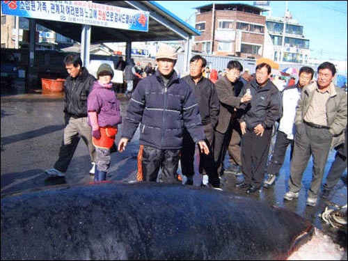 이 순간이 그간의 힘든 과정을 잠시나마 쉴 수 있는 여유가 되길 바랍니다. 